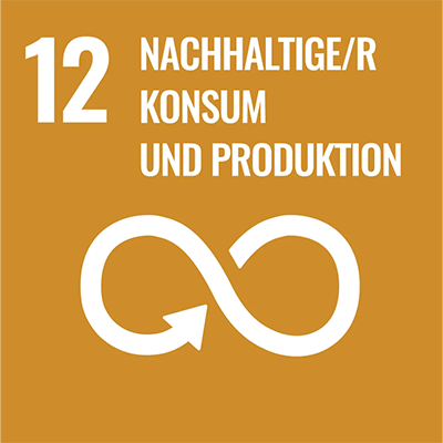 SDG 12 DE