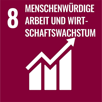 SDG 8 DE